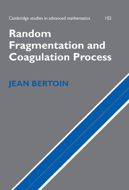 Random Fragmentation and Coagulation Processes