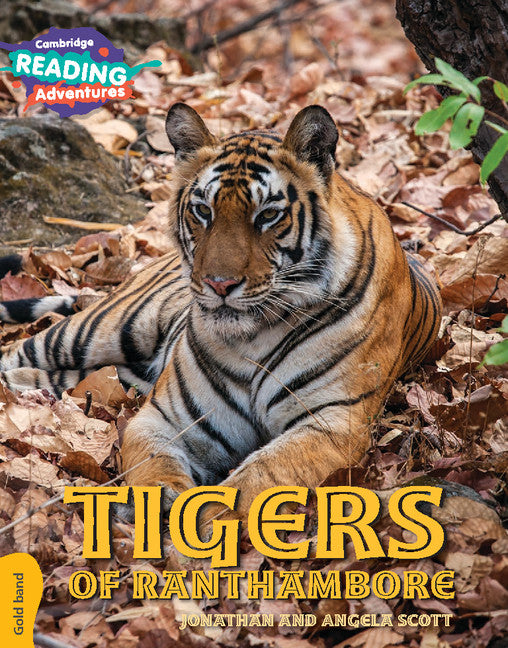 Cambridge Reading Adventures Tigers of Ranthambore Gold Band